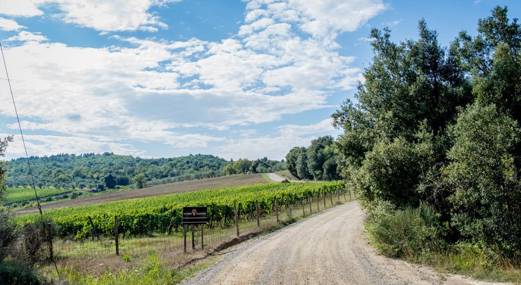 Agriturismo Fattoria Di Gratena อาเรซโซ ภายนอก รูปภาพ