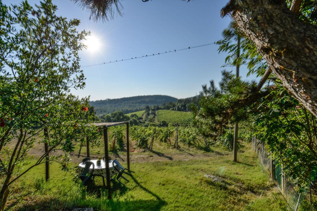 Agriturismo Fattoria Di Gratena อาเรซโซ ภายนอก รูปภาพ