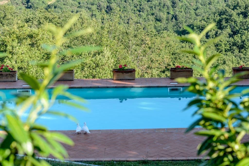 Agriturismo Fattoria Di Gratena อาเรซโซ ภายนอก รูปภาพ