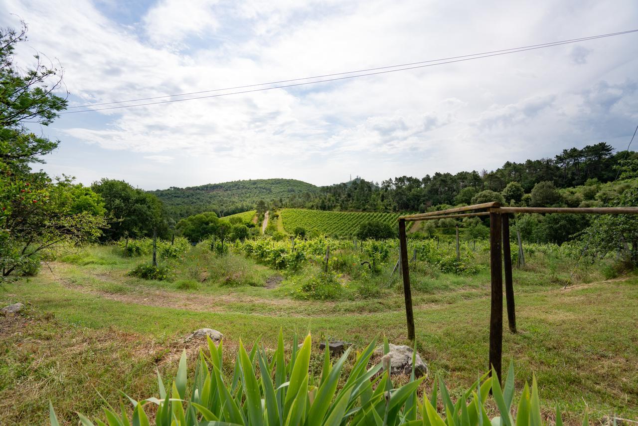 Agriturismo Fattoria Di Gratena อาเรซโซ ภายนอก รูปภาพ