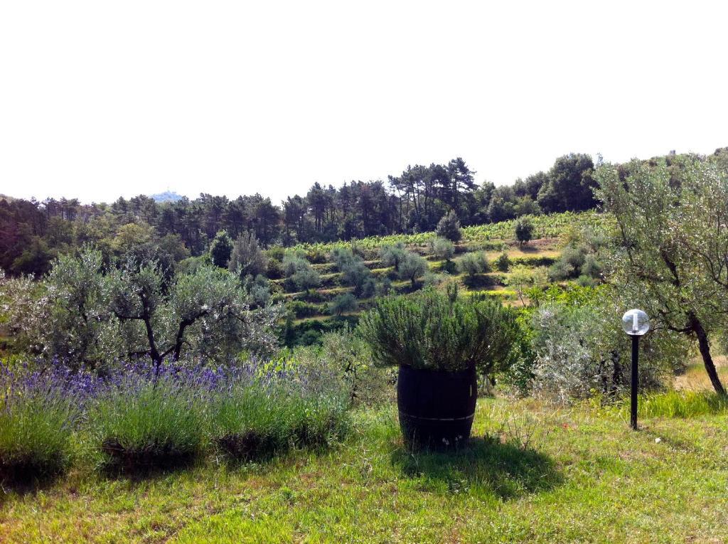 Agriturismo Fattoria Di Gratena อาเรซโซ ภายนอก รูปภาพ